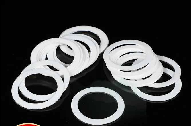 PTFE Gaskets example 3